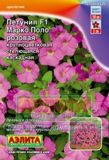 Петуния Марко Поло розовая F1 (Аэлита), 10 шт