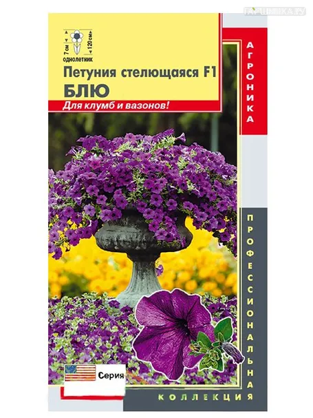 Петуния Блю F1 стелющаяся, 5шт