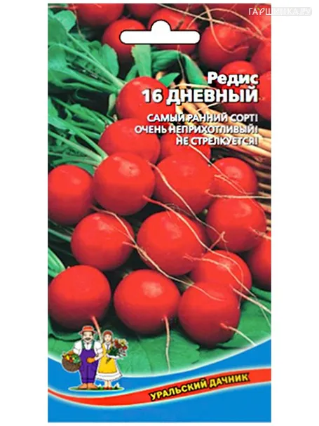 Редис 16 дневный ц/п, Уральский дачник, Семена Марс