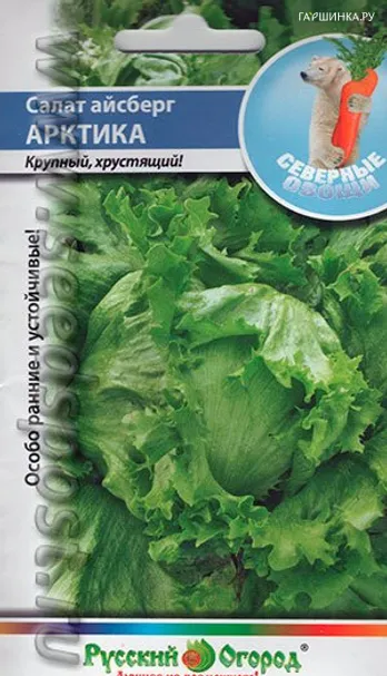 Салат Айсберг Арктика кочанный, 0,5г