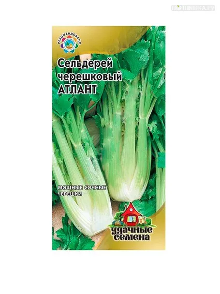 Сельдерей Атлант черешковый, 0,3 гр