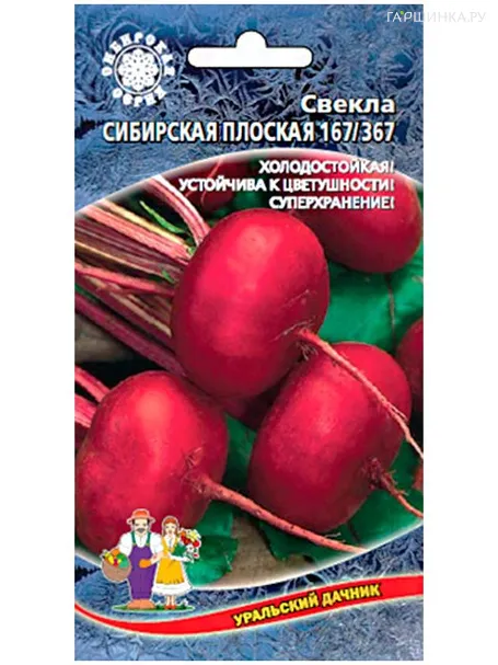 Свекла Сибирская плоская