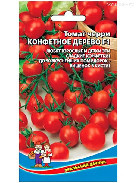 Томат Конфетное дерево черри