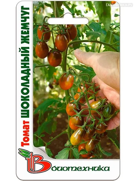 Томат Шоколадный жемчуг, 0,1гр