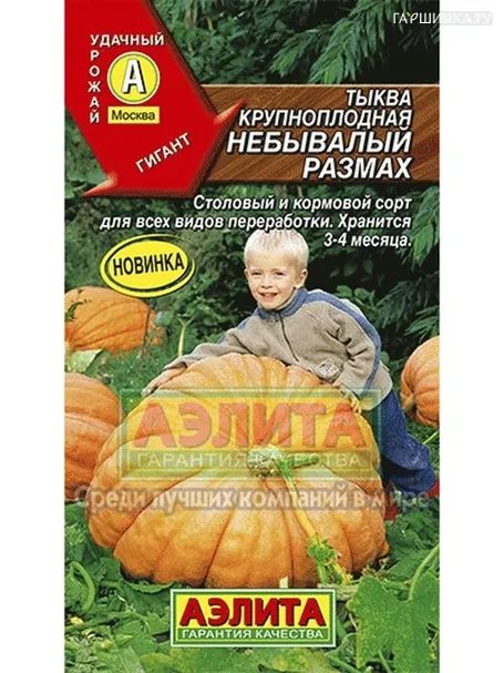 Тыква Небывалый размах крупноплодная, 2 гр