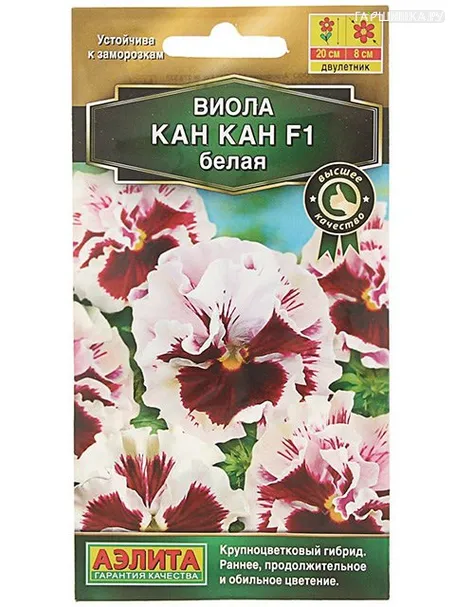 Виола Кан Кан белая  F1 (Аэлита), 7шт