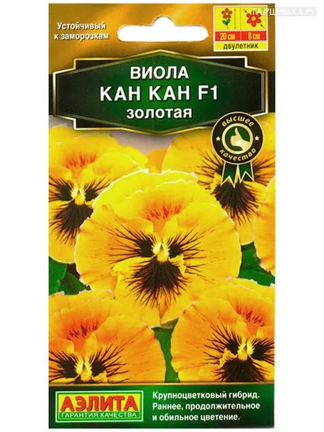 Виола Кан Кан золотая  F1 (Аэлита), 7шт