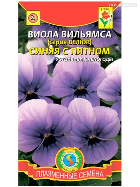 Виола вильямса (серия Велюр) синяя с пятном