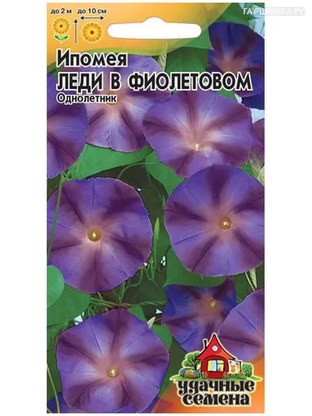 Ипомея Леди в фиолетовом (Гавриш), 0,5 г