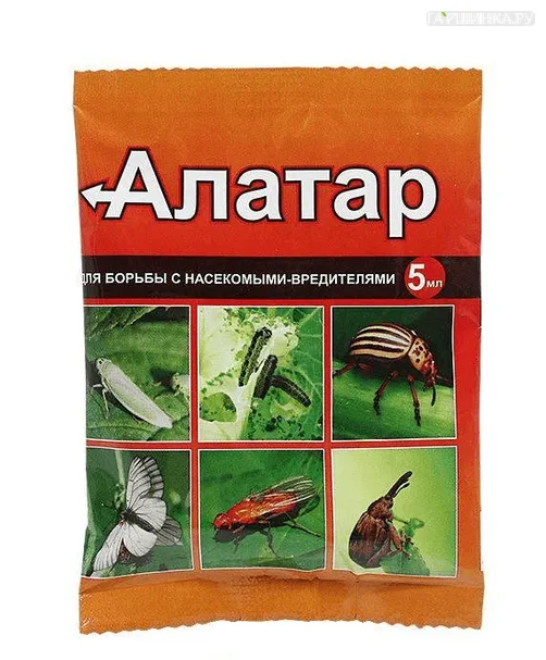 Алатар