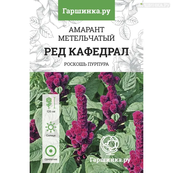 Амарант Ред Кафедрал