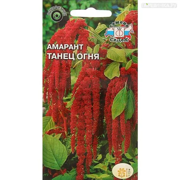 Амарант Танец огня (хвостатый) 0,1 г