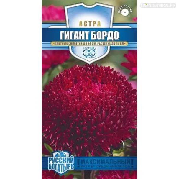 Астра Гигант Бордо, 0,1 г