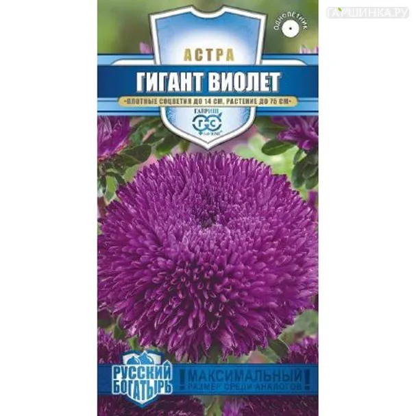 Астра Гигант виолет (Гавриш), 0,1 г