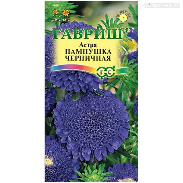 Астра Пампушка черничная (Гавриш), 0,3 г