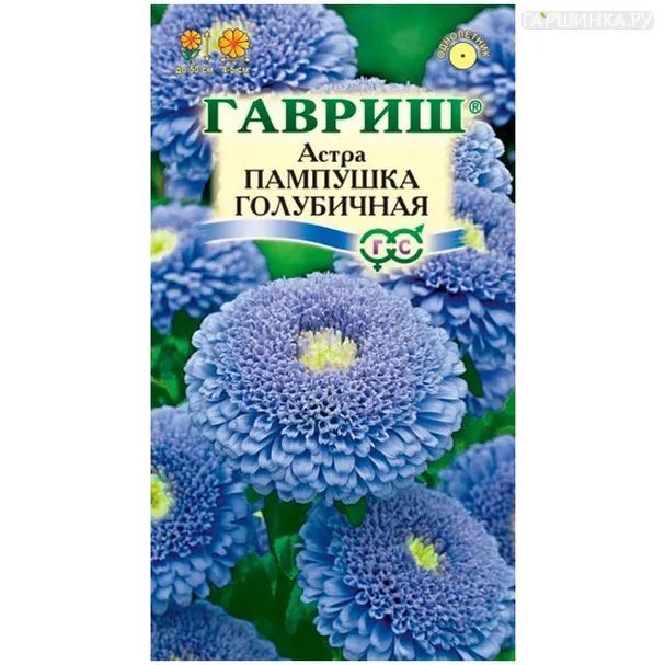 Астра Пампушка голубичная (Гавриш), 0,3 г