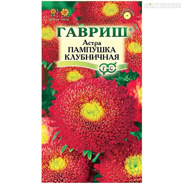 Астра Пампушка клубничная (Гавриш), 0,3 г