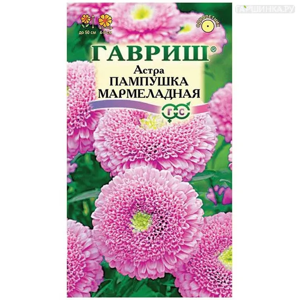 Астра Пампушка мармеладная (Гавриш), 0,3 г