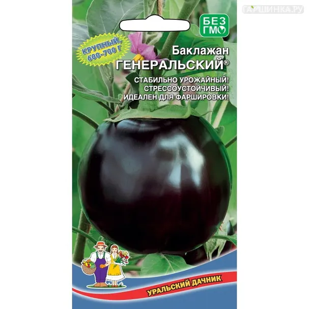 Баклажан Генеральский 20 шт.
