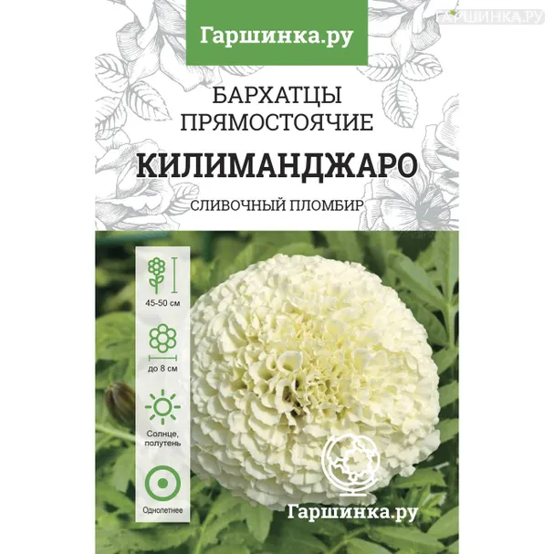 Бархатцы Килиманджаро прямостоячие