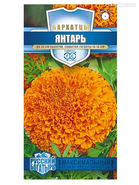 Бархатцы прям. Янтарь, 0,1 г