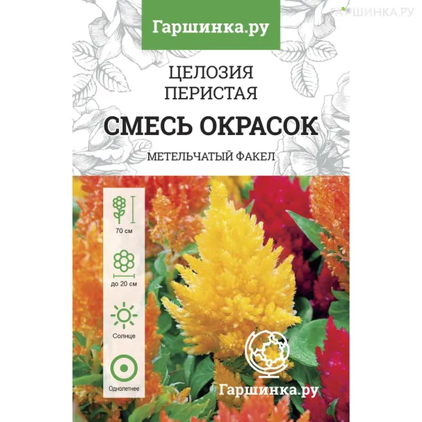 Целозия Перистая, смесь окрасок