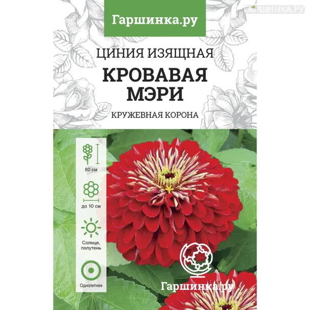 Цинния изящная Кровавая Мэри