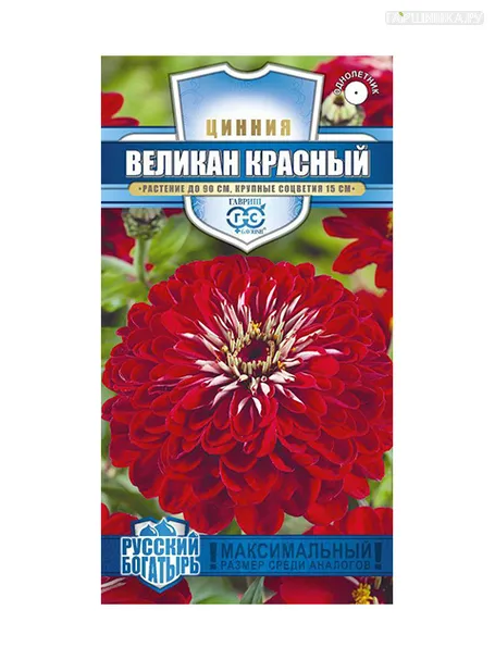 Цинния Великан красный, 0,3 г