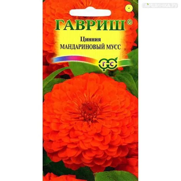 Цинния Мандариновый мусс 0,3г