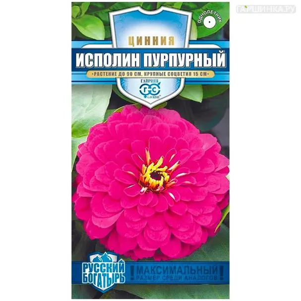 Цинния Великан пурпурный, 0,3 г