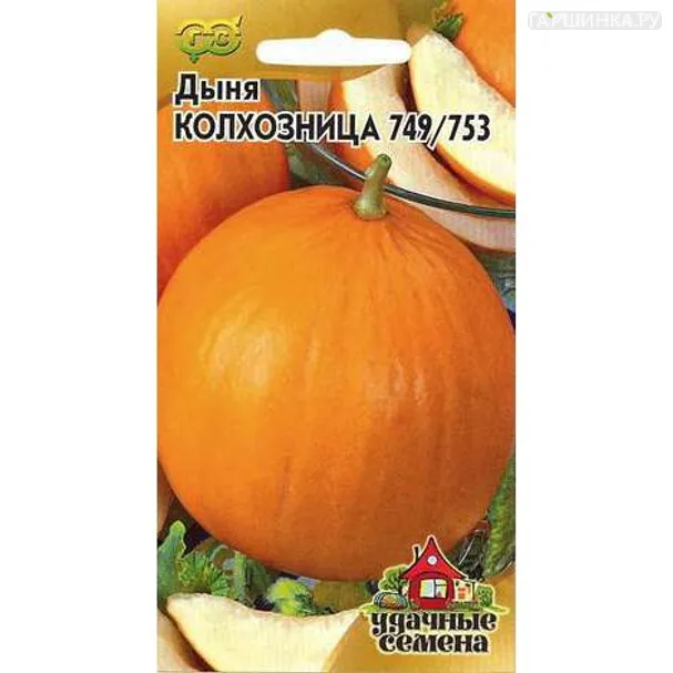 Дыня Колхозница