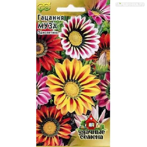 Гацания крупноцветковая Муза, смесь 0,05 г