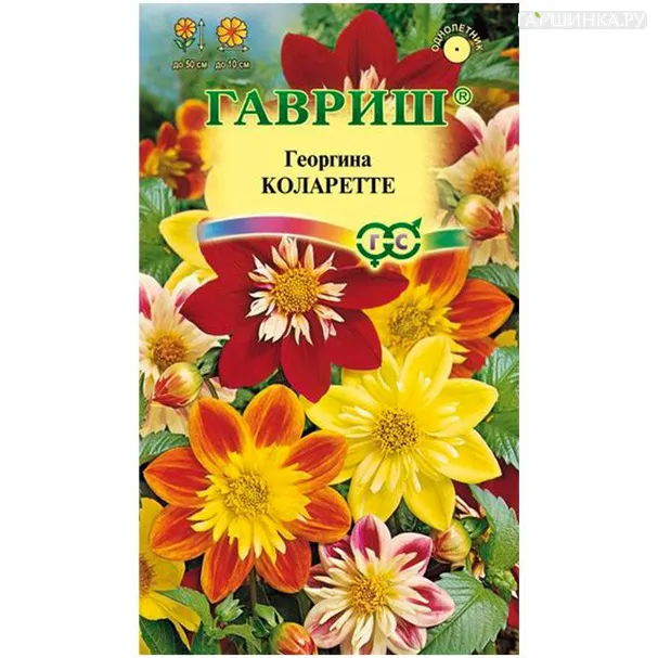 Георгина Коларетте, 0,2 г