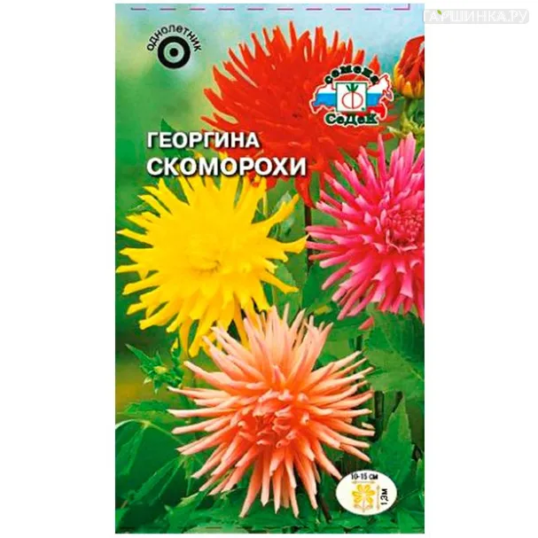 Георгина Скоморохи, 0,2 г