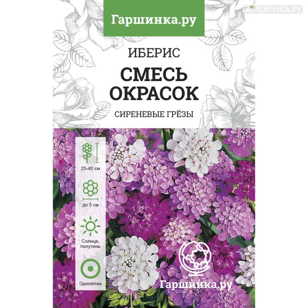 Иберис зонтичный Смесь окрасок