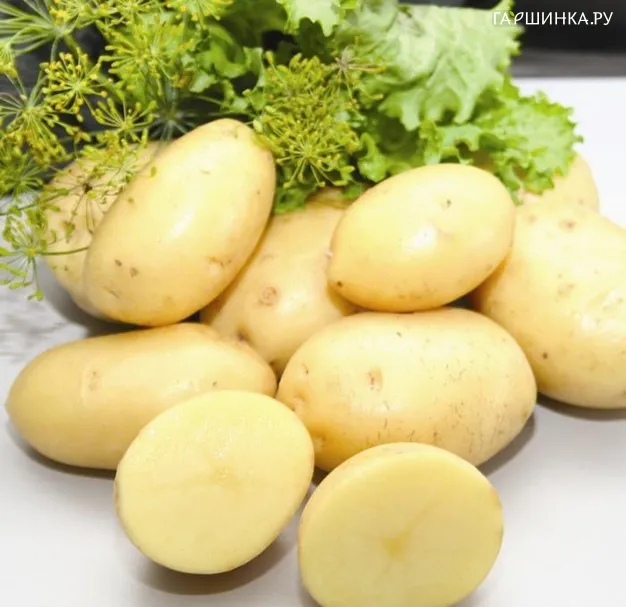 Картофель Импала 2кг