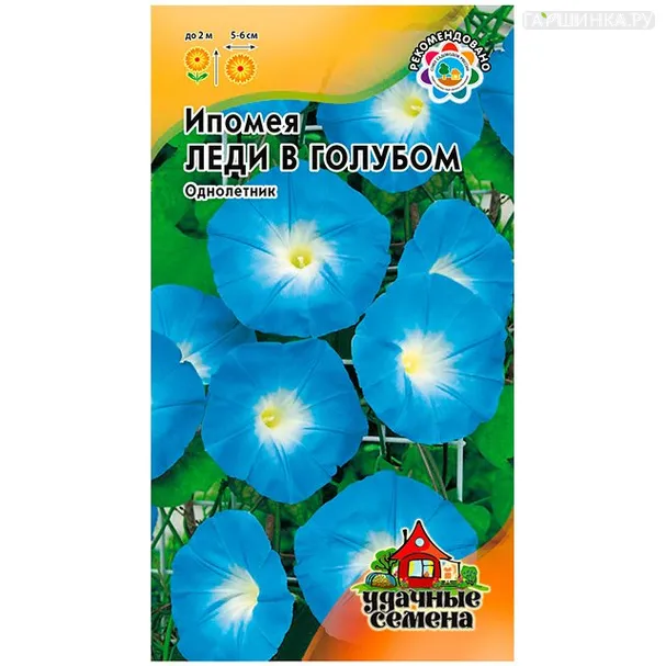Ипомея Леди в голубом,0,5 г