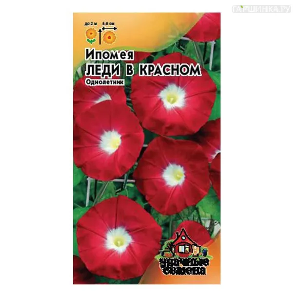 Ипомея Леди в красном (Гавриш), 0,5 г