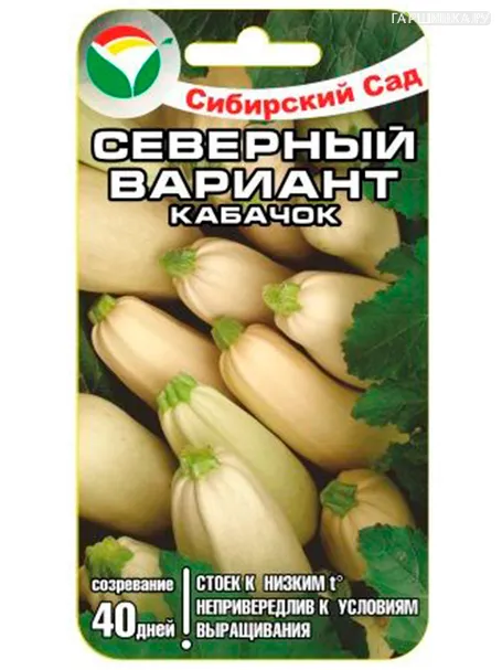 Кабачок Северный вариант 5 шт.