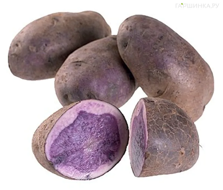 Картофель Гурман 2кг