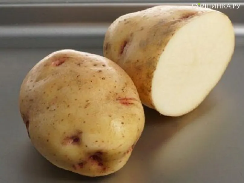 Картофель Скороспелка 2кг