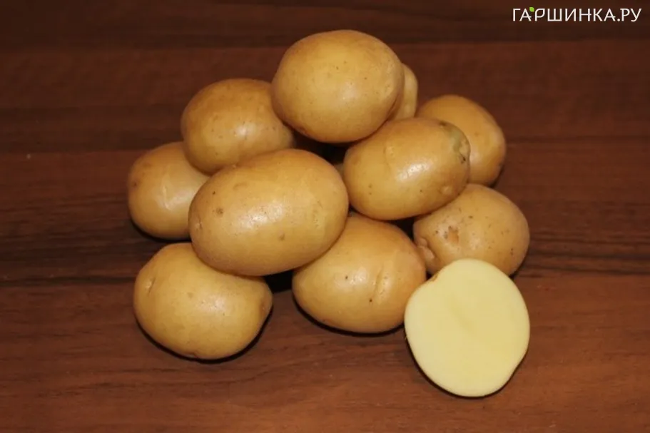 Картофель Колобок 2кг