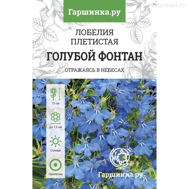 Лобелия Голубой фонтан