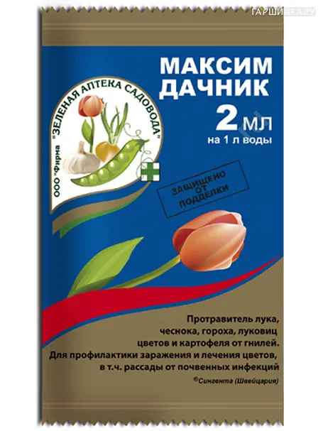 Максим-дачник
