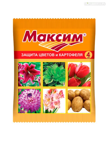 Максим ВХ