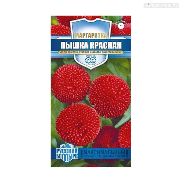 Маргаритка Пышка красная 5 шт