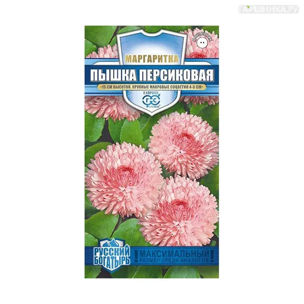 Маргаритка Пышка персиковая 5 шт