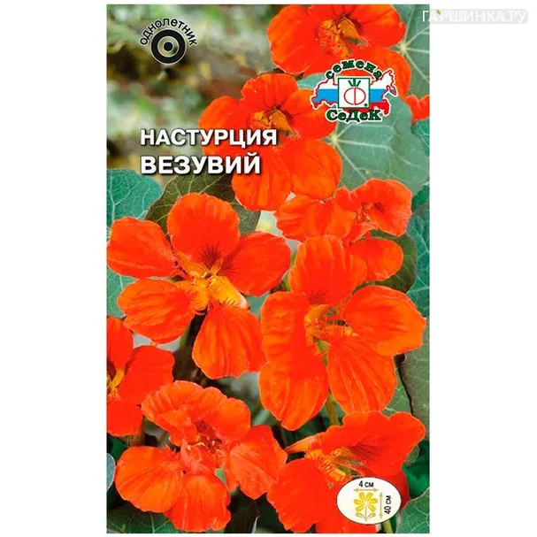Настурция Везувий, низкорослая, 1г