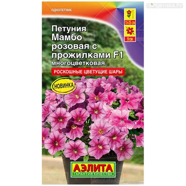 Петуния Мамбо розовая с прожилками многоцветковая
