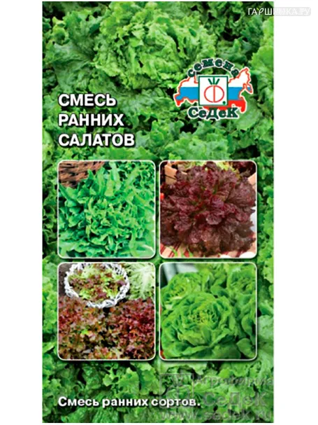 Салат Смесь ранних сортов,1 г